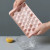 Plastic Ice Mold